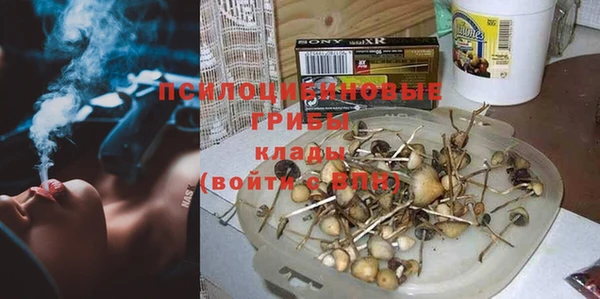 PSILOCYBIN Покров