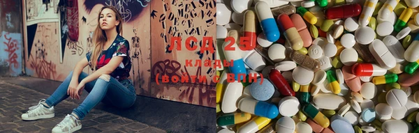 PSILOCYBIN Покров