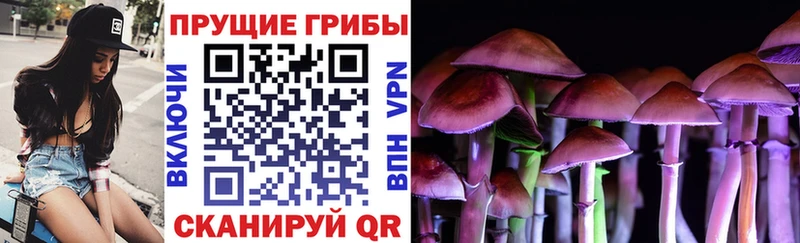 где купить наркотик  Знаменск  Псилоцибиновые грибы Magic Shrooms 