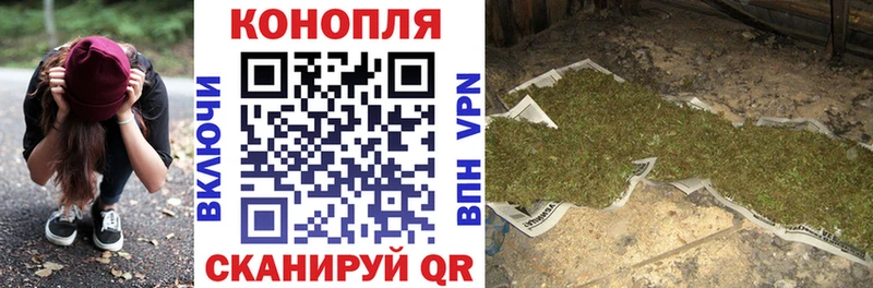 Канабис White Widow  где найти   гидра вход  Знаменск 
